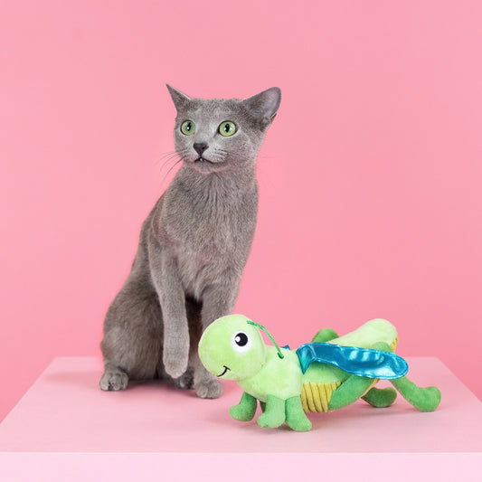 HOP ON BY CAT TOY