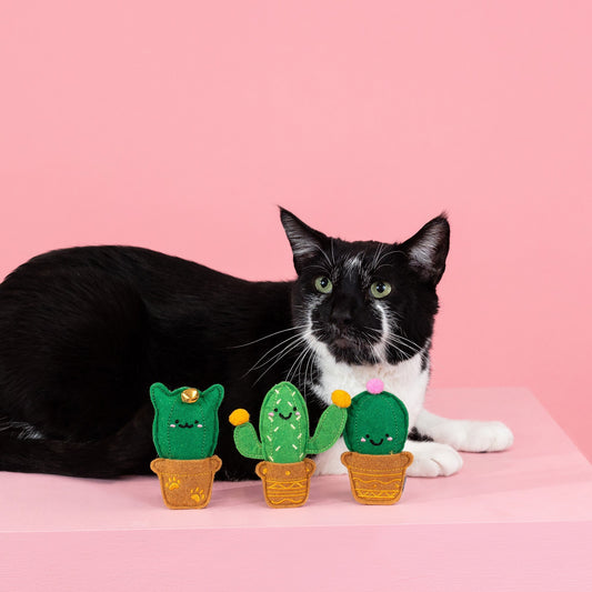CAT-US FRIENDS CAT TOY