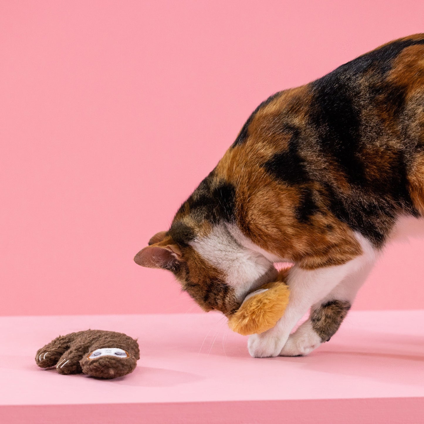 SLOW CAT TOY