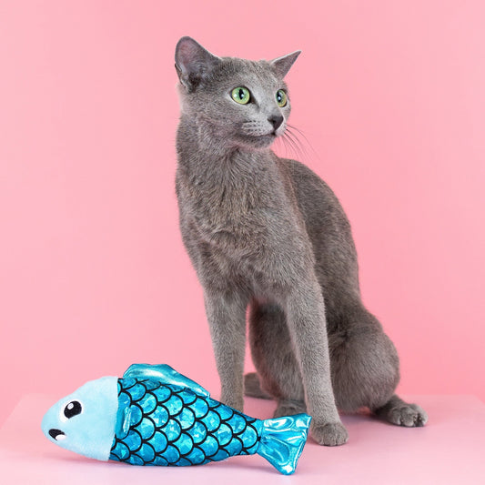 A LITTLE FISHY CAT TOY