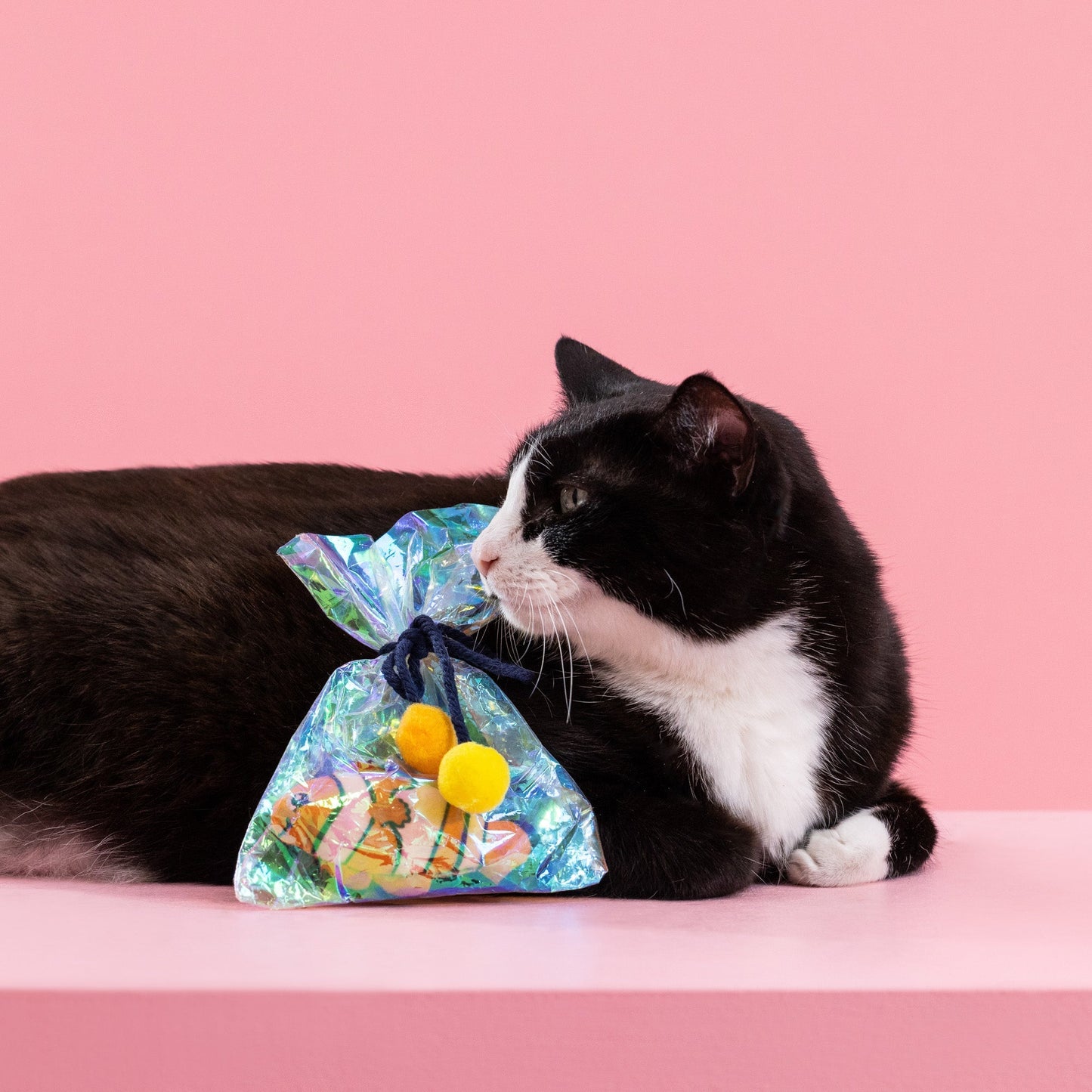 AROUND CAT TOY