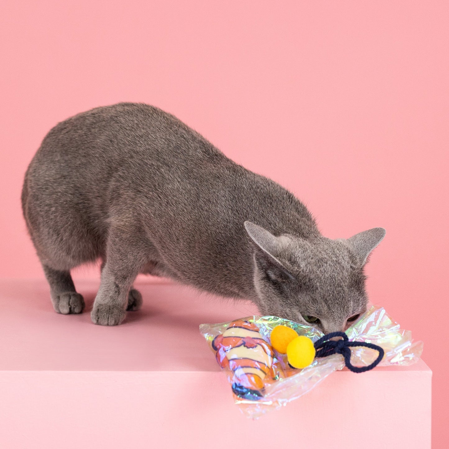 AROUND CAT TOY