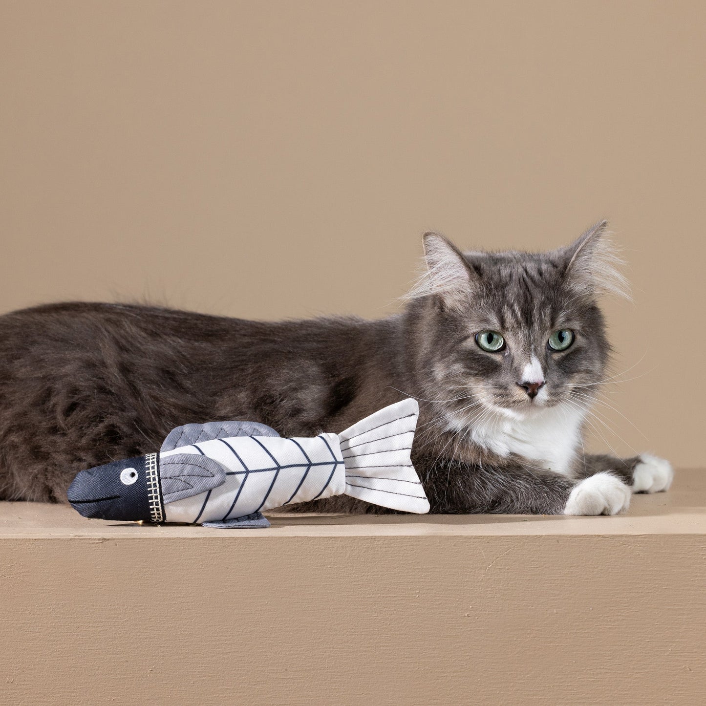 SOMETHING'S FISHY CAT TOY