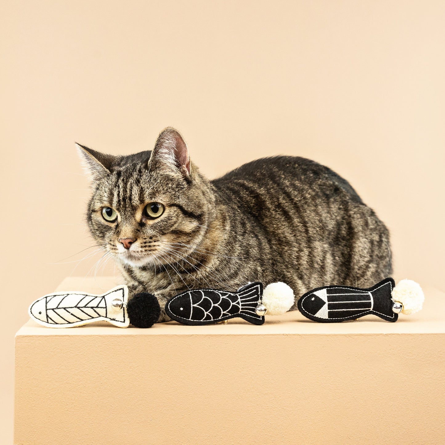 OFF THE SCALES MINI CAT TOYS