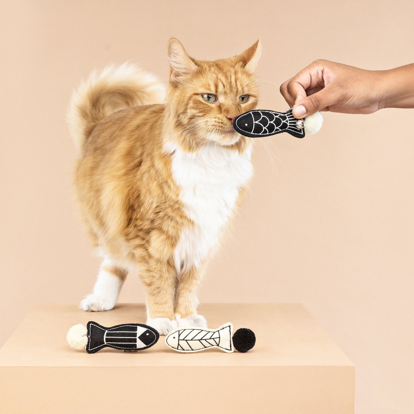 OFF THE SCALES MINI CAT TOYS