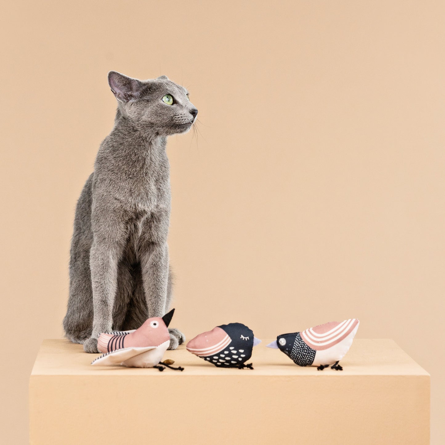UNDER MY WINGS MINI CAT TOYS