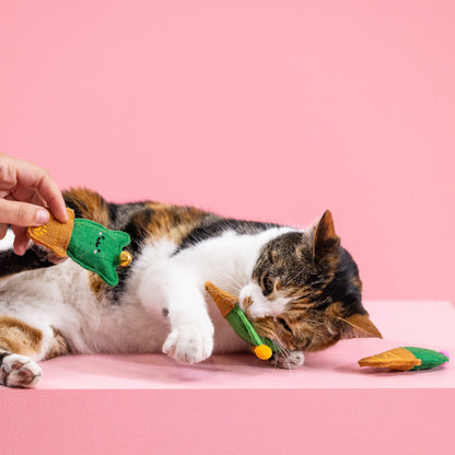 CAT-US FRIENDS CAT TOY