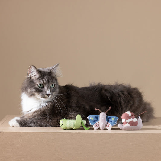 CATCH ME IF YOU CAN CANVAS MINI CAT TOY
