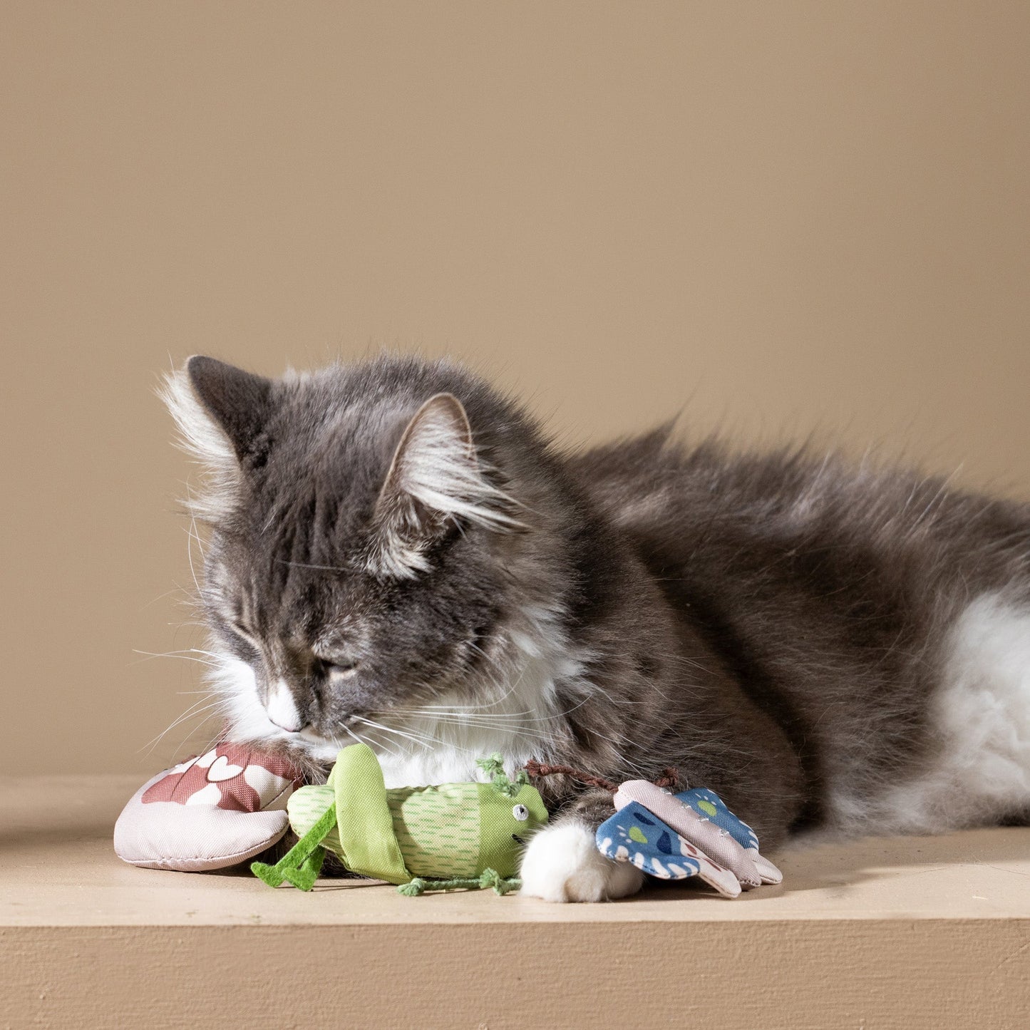 CATCH ME IF YOU CAN CANVAS MINI CAT TOY