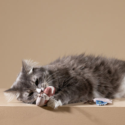CATCH ME IF YOU CAN CANVAS MINI CAT TOY